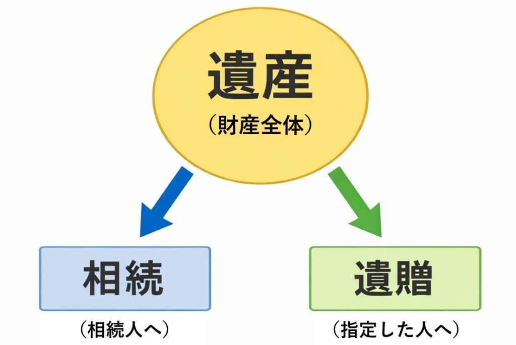遺産（財産全体）が相続（相続人へ）と遺贈（指定した人へ）に分かれる仕組みを示した図解