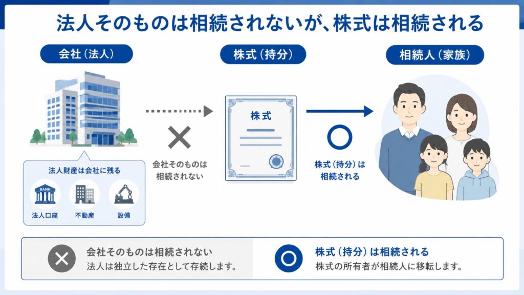 法人そのものは相続されず、株式や持分のみが相続人に引き継がれる仕組みを示した図解。会社の財産は法人に残り、株式が家族へ移転する流れを表現。
